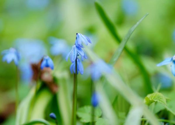 Изображение к статье: Синоптики рассказали о погоде на воскресенье в Латвии