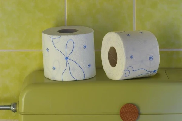 Изображение к статье: Врач развеяла популярный миф о дефекации