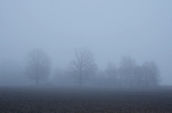 На этой неделе на побережье часто ожидается туман