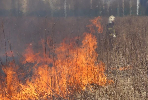 Старник продолжает гореть: за три последних дня - 133 пожара