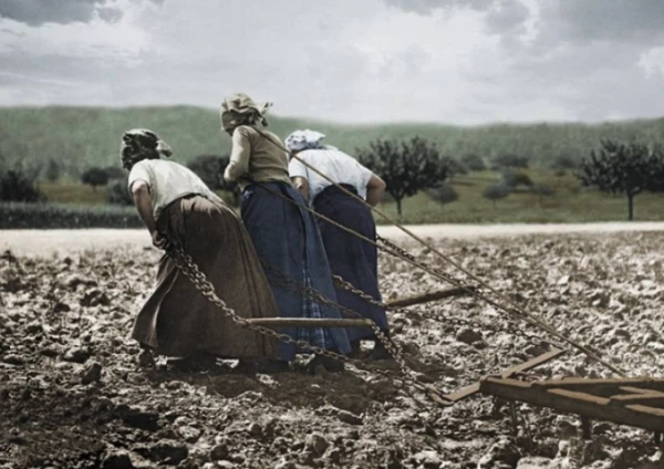 «Пахать!» Миллиардер призвал «собраться» и работать шесть дней в неделю по 12 часов