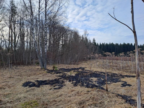 Изображение к статье: Оставаться дома, закрыть окна и двери: в двух краях Латвии жителей предупредили о возможной угрозе от беспилотника