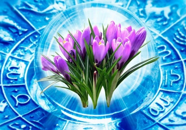 Апрель 2026: Прогноз Тамары Глобы – вихрь перемен и судьбоносных решений