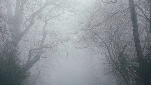 Синоптики предупредили об изменении погоды в Латвии