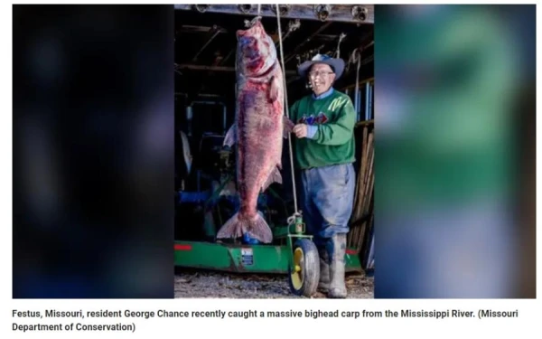 Изображение к статье: Американец установил мировой рекорд по ловле толстолобика