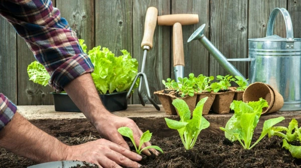 Что посадить в апреле на даче: список культур для раннего урожая