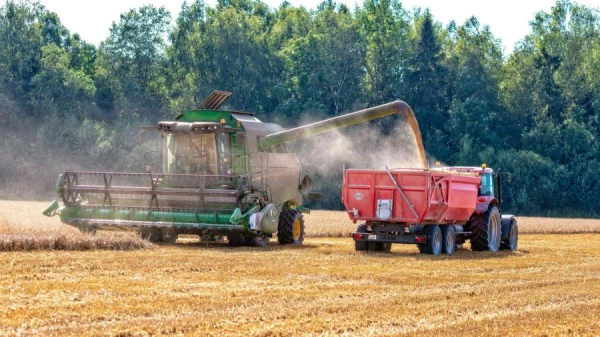 Назло санкциям - растет уровень самообеспеченности трудящихся Латвии продуктами