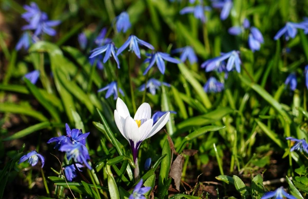 Изображение к статье: Март этого года в Латвии — самый тёплый и четвёртый самый сухой за всю историю наблюдений