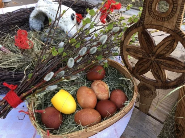 Изображение к статье: Фото: brivdabasmuzejs.lv