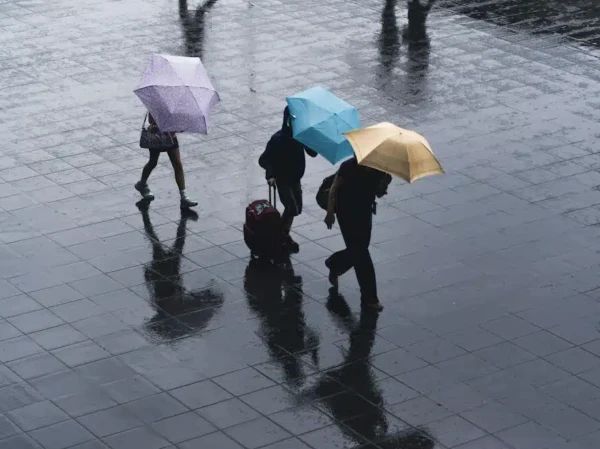 Изображение к статье: Синоптики сделали предупреждение о погоде в Латвии в субботу