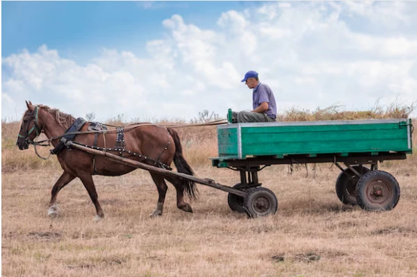 Изображение к статье: Жителей ЕС призвали менять автомобиль на лошадь из-за роста цен на бензин