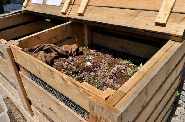 Изображение к статье: Что делать, если нет навоза?