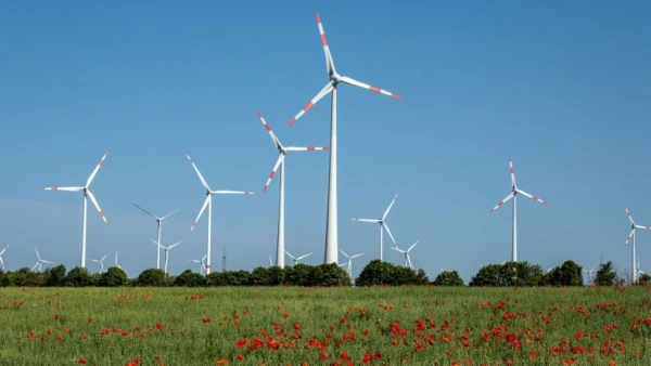 Изображение к статье: Лидер Евросоюза хочет быть самой чистой страной.