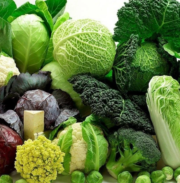 Как вырастить капусту, которая станет лучшей в мире: полезные рекомендации