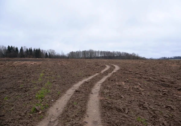 Во вторник в Латвии сохранится прохладная погода