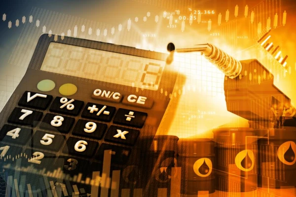 Изображение к статье: Валайнис: нужно обсудить снижение акцизного налога на бензин и обложить сверхприбыль