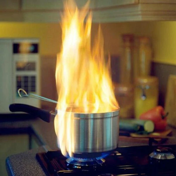 Изображение к статье: В Японии домашних животных обвинили в увеличении числа пожаров в жилых домах