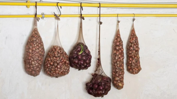 Лайфхаки советских людей: от вантуза до чулков с луком