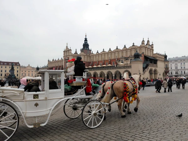 Изображение к статье: Фото автора.