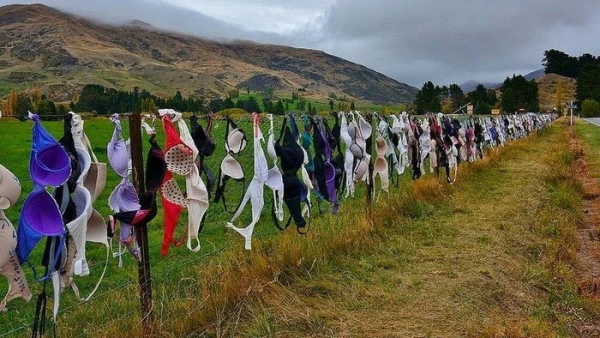 Изображение к статье: Чем больше запрещают — тем популярнее: история самого необычного «флешмоба» в мире