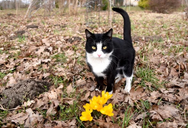 Суббота будет преимущественно солнечной