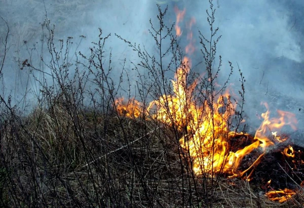 Изображение к статье: Вы сегодня на огороде жжете? Тогда, возможно, к вам уже едут