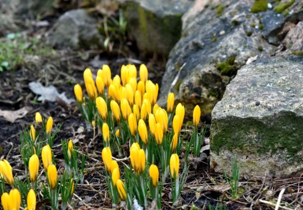 В среду в Латвии воздух прогреется до +18 градусов