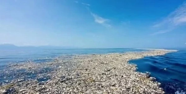 Большое тихоокеанское мусорное пятно больше не могут уничтожить: стало домом для десятков видов