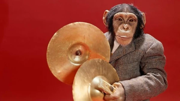 Алкоголизм в дикой природе: как животные употребляют спиртные напитки