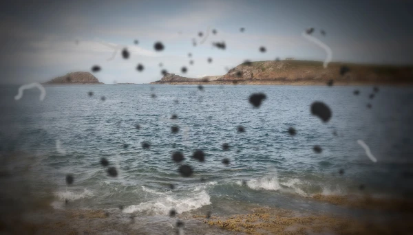 Изображение к статье: Черные пятна перед глазами: как отличить норму от угрозы зрению