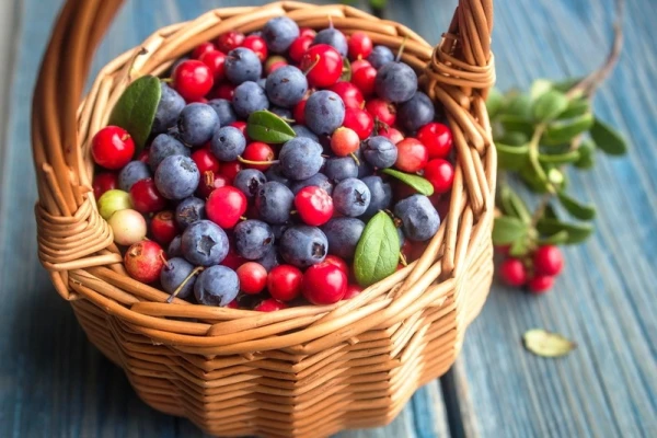 Ягода, которая спасает зубы: что выяснили исследователи