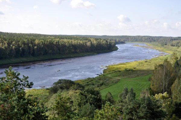 Изображение к статье: Латвийские пограничники сообщили о новой гениальной уловке контрабандистов