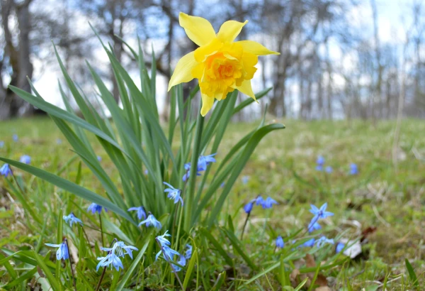 Изображение к статье: Латвийские синоптики уточнили прогноз на субботу: погода обещает не подкачать