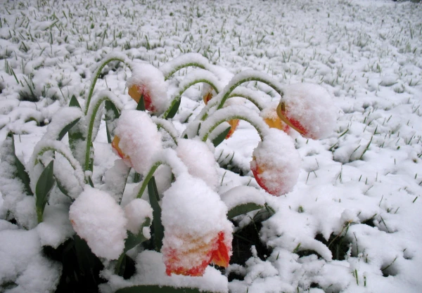 Спешите ехать на природу: на следующей неделе в Латвии кардинально изменится!