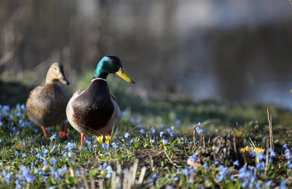 Изображение к статье: Неделя начнётся с солнечного и сухого дня