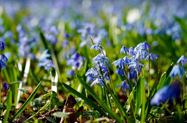 Изображение к статье: День будет сухим и солнечным