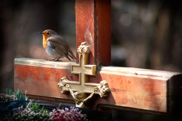 Радоница. Что можно и что нельзя делать православным Латвии 21 апреля