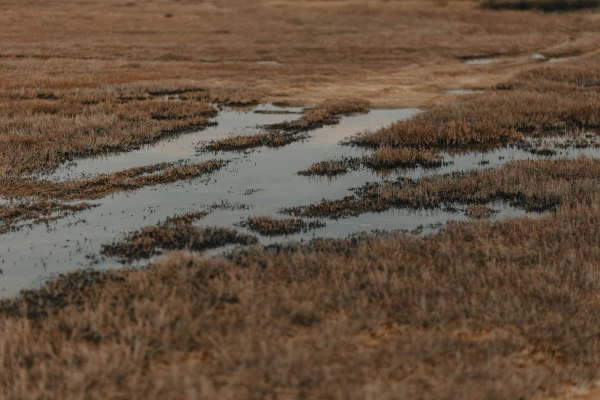 Изображение к статье: Весна без катастроф: Латвия избежала масштабных наводнений