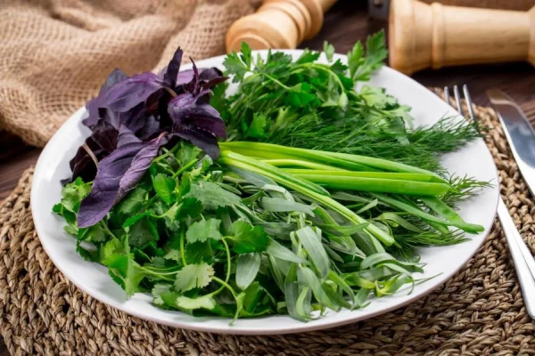 Доктор Мясников: зелень может быть опасна для людей с почечными камнями