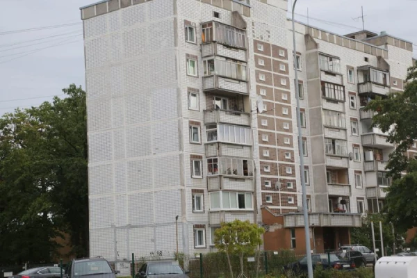 Изображение к статье: Иллюстративное фото.