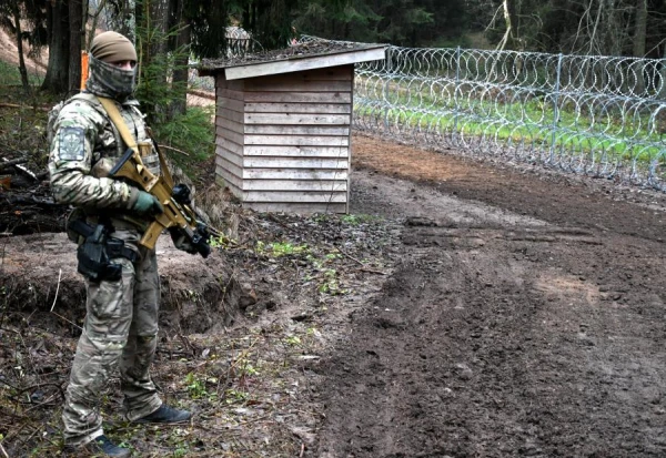 Из Латвии пытался сбежать медведь, но не судьба - граница на замке