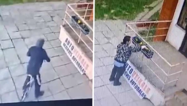 «Традиция» Кенгарагса — у магазина высаживают цветы, и их снова воруют