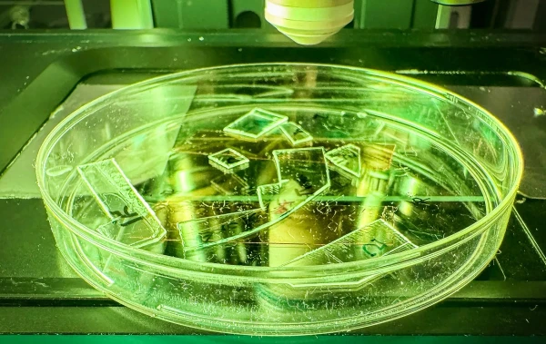 Прорыв в борьбе с вирусами: создана пластиковая пленка, которая физически уничтожает инфекции