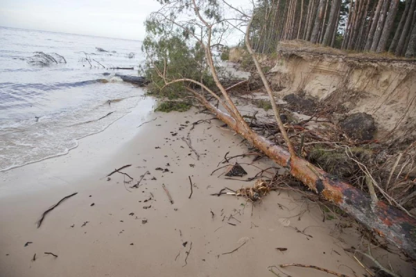Изображение к статье: Благоразумнее не выходить из дома - синоптики дали жуткий прогноз на выходные