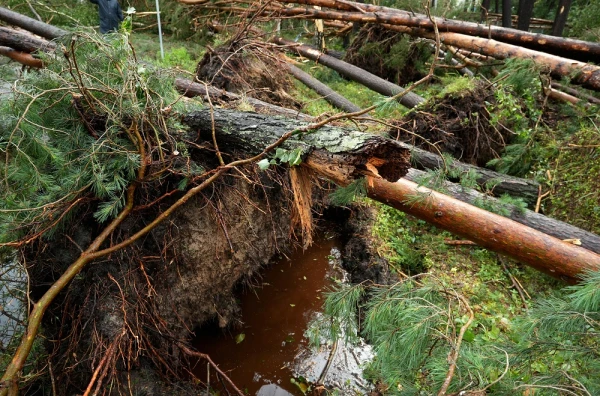 Из-за надвигающейся бури рижан призывают в воскресенье не посещать парки, детские площадки и кладбища