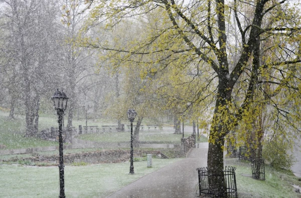 Изображение к статье: Так шторм в воскресенье будет или нет? Синоптики обновили прогноз