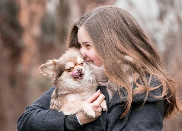 Когда щенка можно переводить на промышленный корм