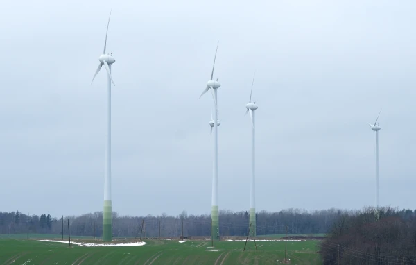 Изображение к статье: Иллюстративное фото.