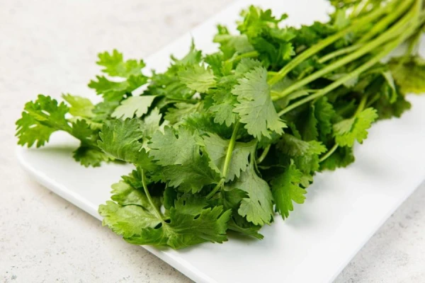 Почему некоторые люди испытывают неприязнь к кинзе: виноваты гены