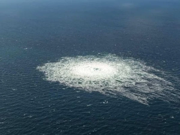 Прикрыть задницу: Зеленский знал о подрыве «Северных потоков» - Bild